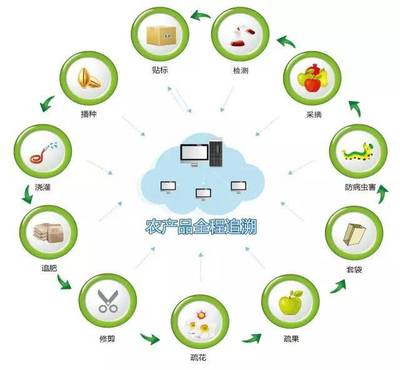 真農(nóng)觀察 農(nóng)產(chǎn)品溯源系統(tǒng)，品牌管理的基石與未來